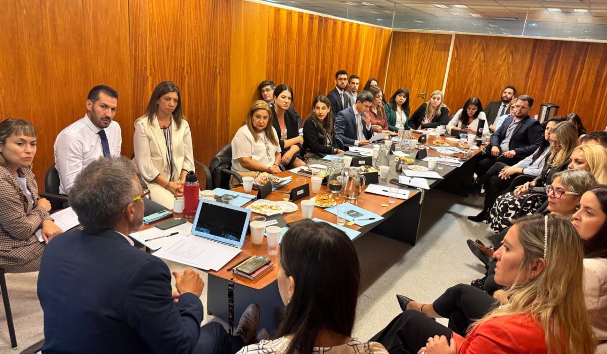 WhatsApp Image 2026-03-20 at 12.39.12